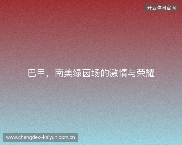 巴甲，南美绿茵场的激情与荣耀
