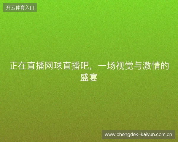 正在直播网球直播吧，一场视觉与激情的盛宴